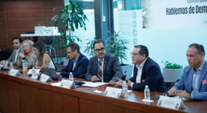 participación ciudadana